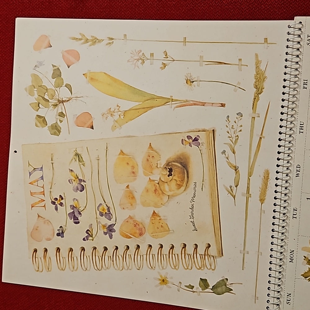 Marjolein Bastin Hallmark @2001 calendar UNUSED Nature's Sketchbook art craft - Picture 9 of 16